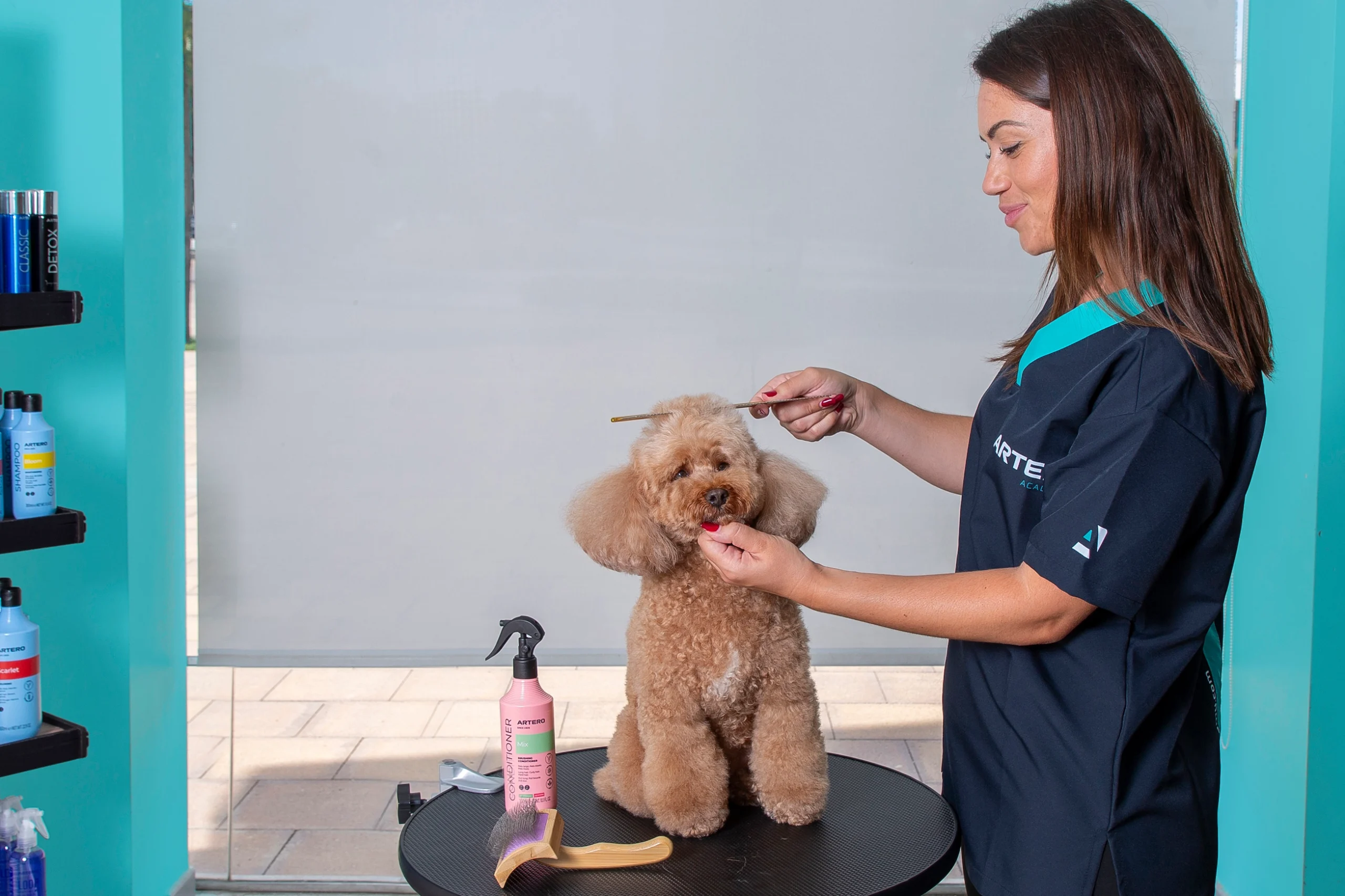 Avanzado de Peluquería Canina