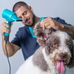 Auxiliar de Peluquería Canina