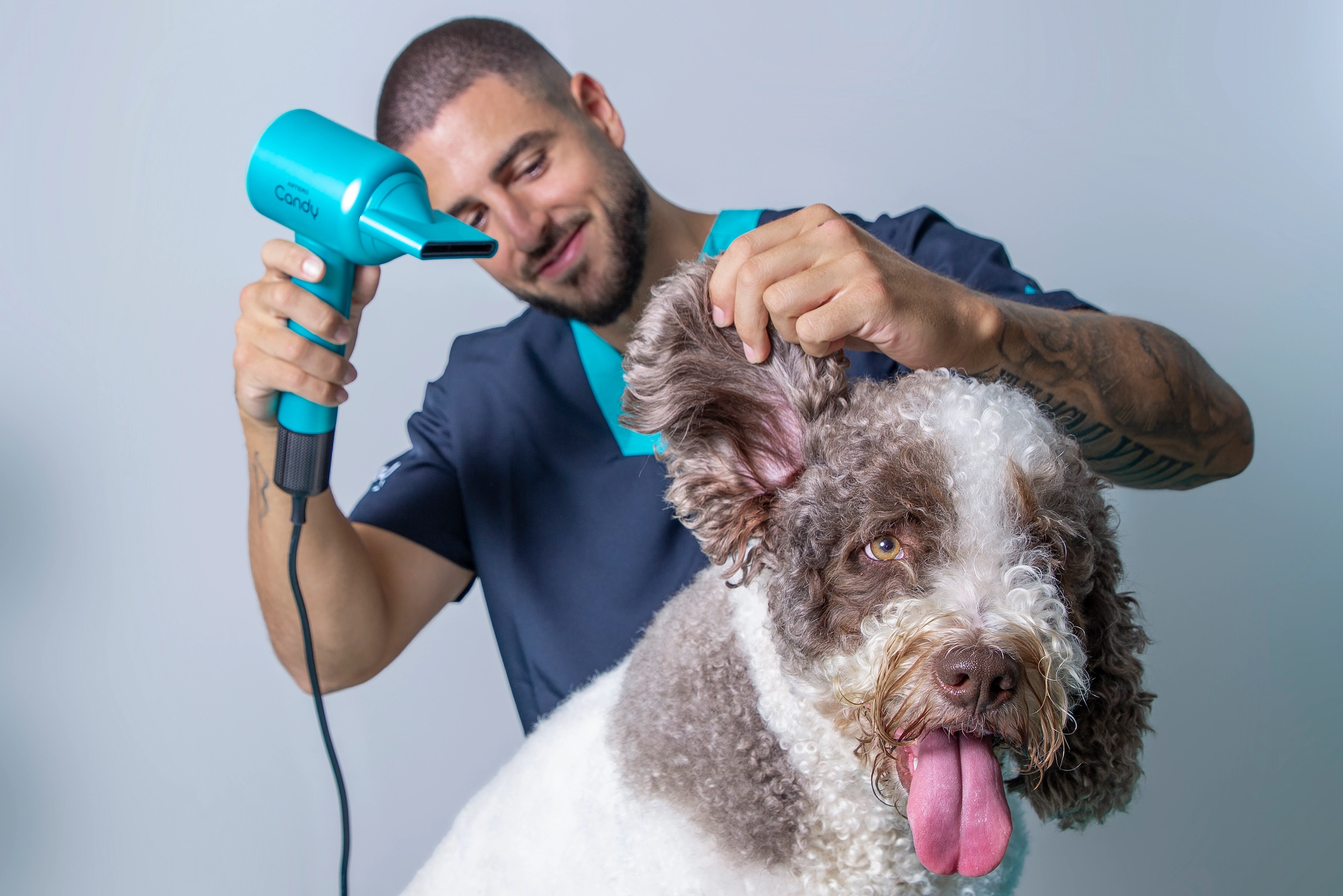 Auxiliar de Peluquería Canina