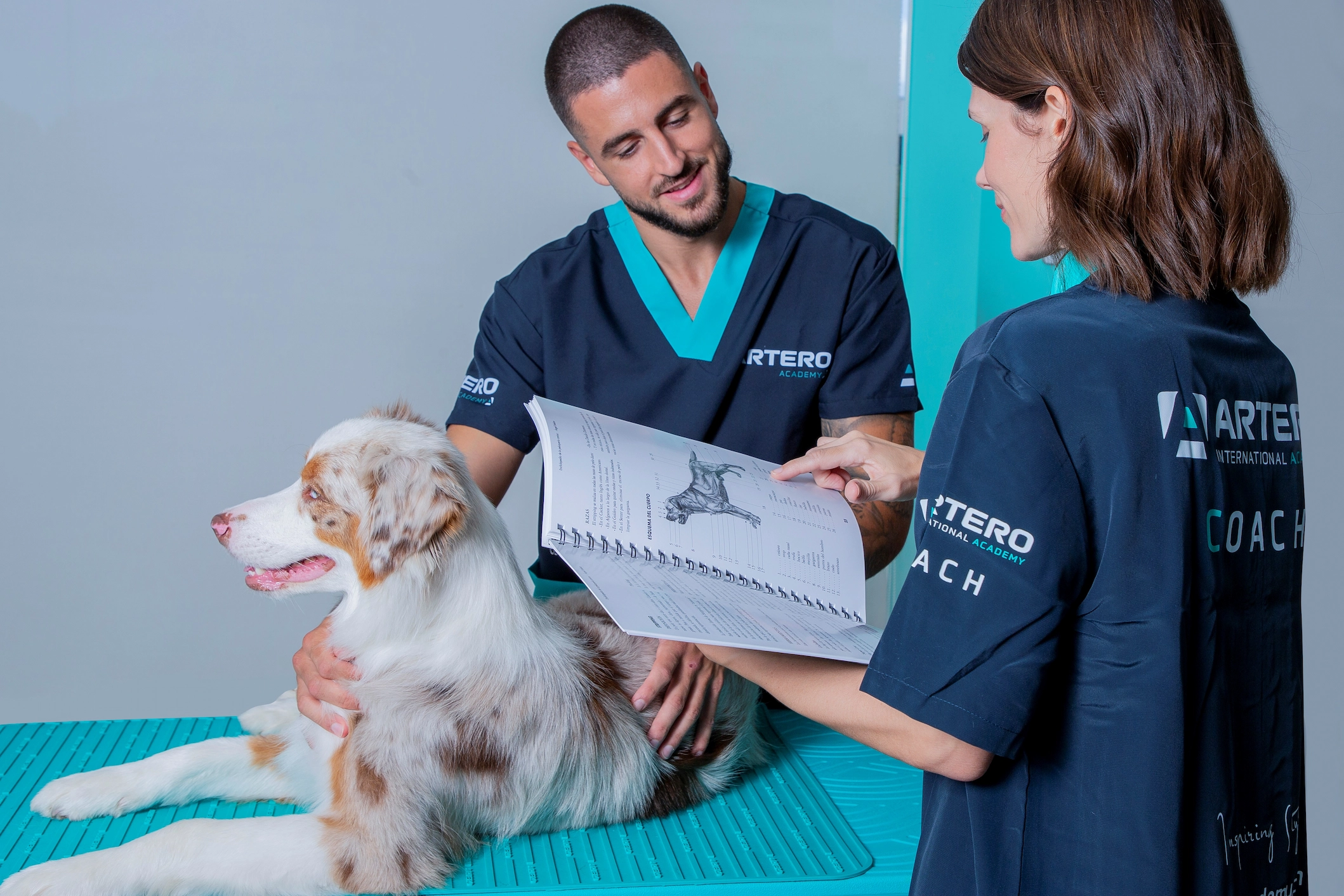 Profesional Peluquería Canina