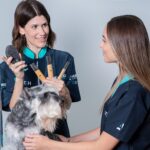 Especialización por Raza o Técnica