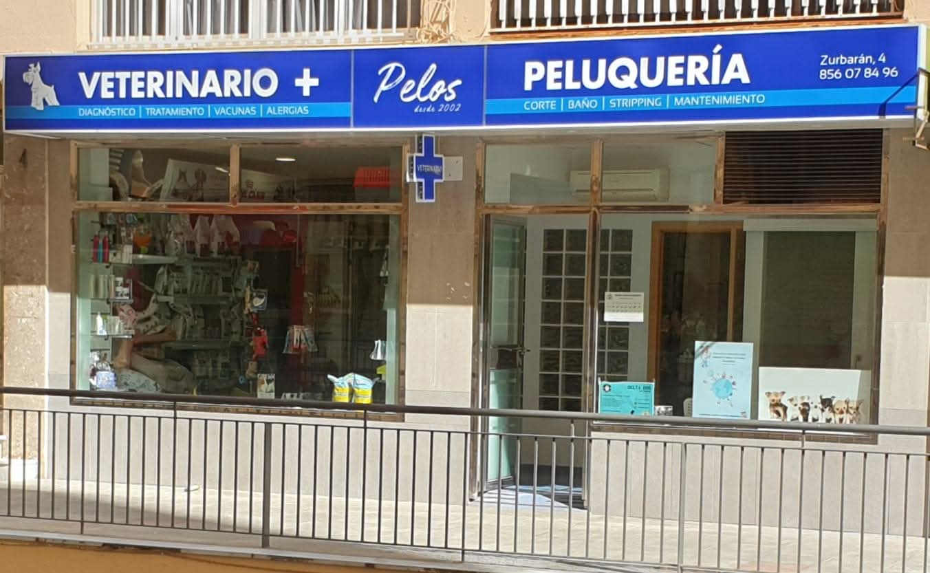 Centro de Estética Canina de Cádiz
