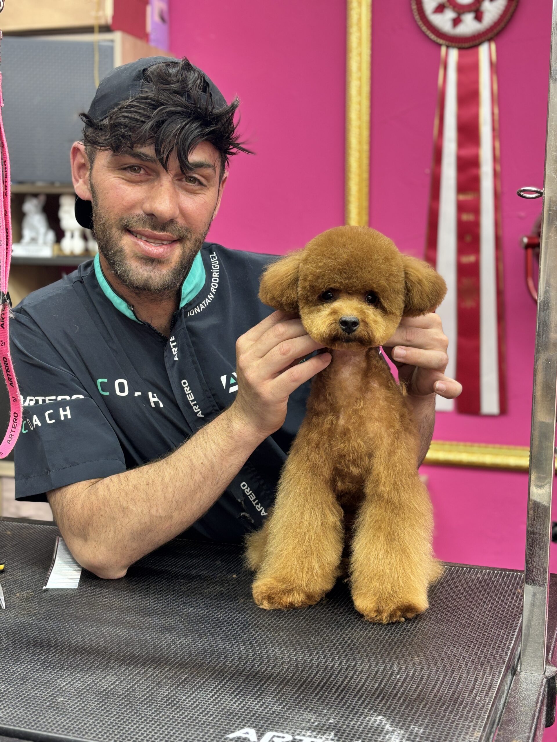 IMG_3805 - CANICHES PET GROOMING Peluquería Canina