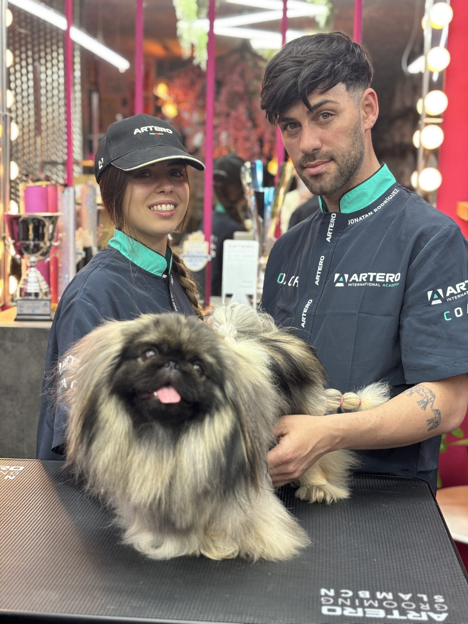 IMG_3874 - CANICHES PET GROOMING Peluquería Canina
