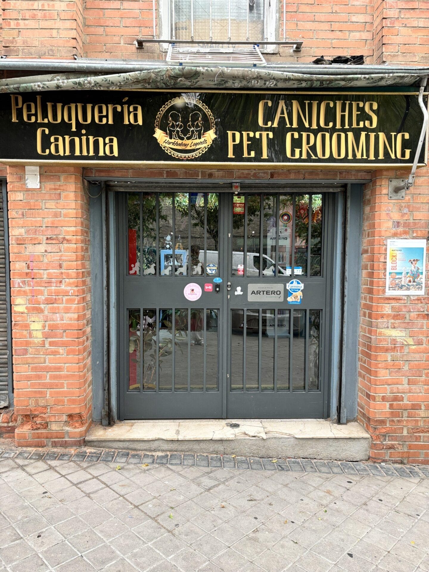 CANICHES PETGROOMING