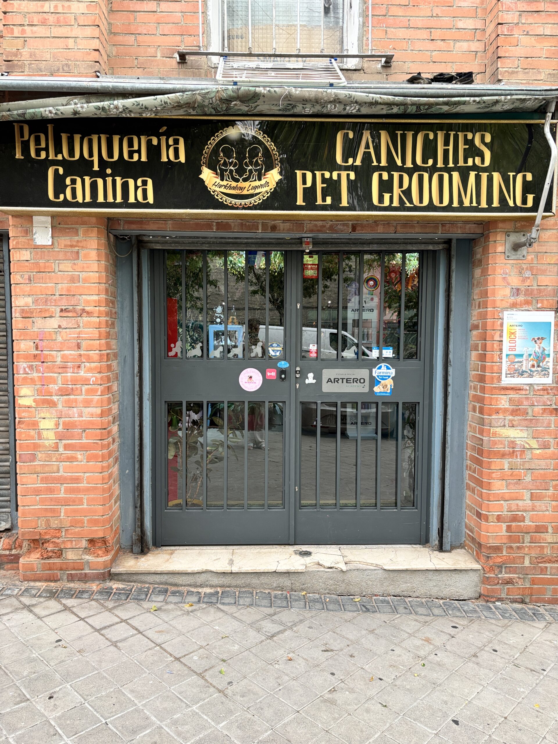 IMG_3875 - CANICHES PET GROOMING Peluquería Canina