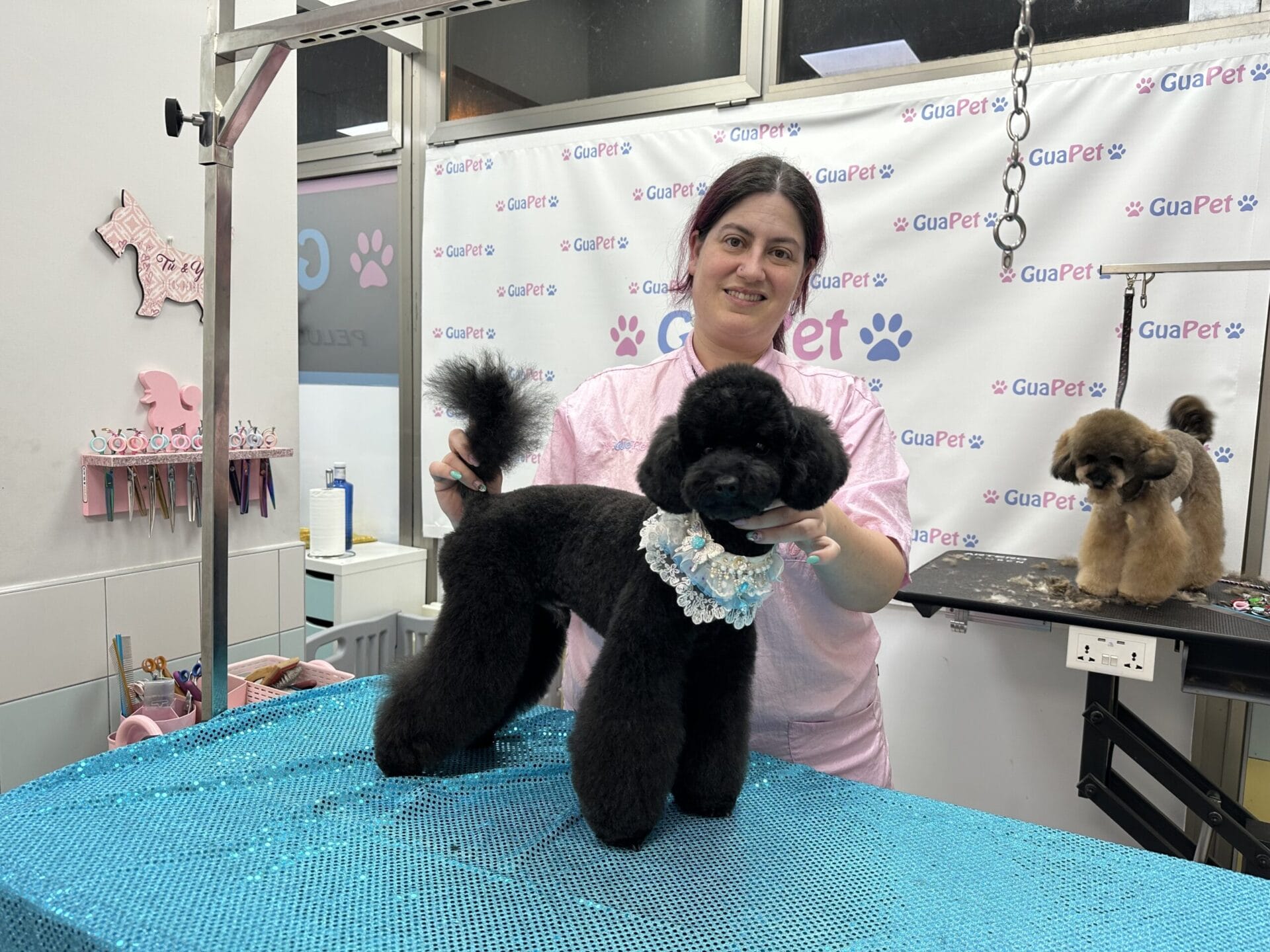 IMG_5096 - Guapet Peluquería Canina