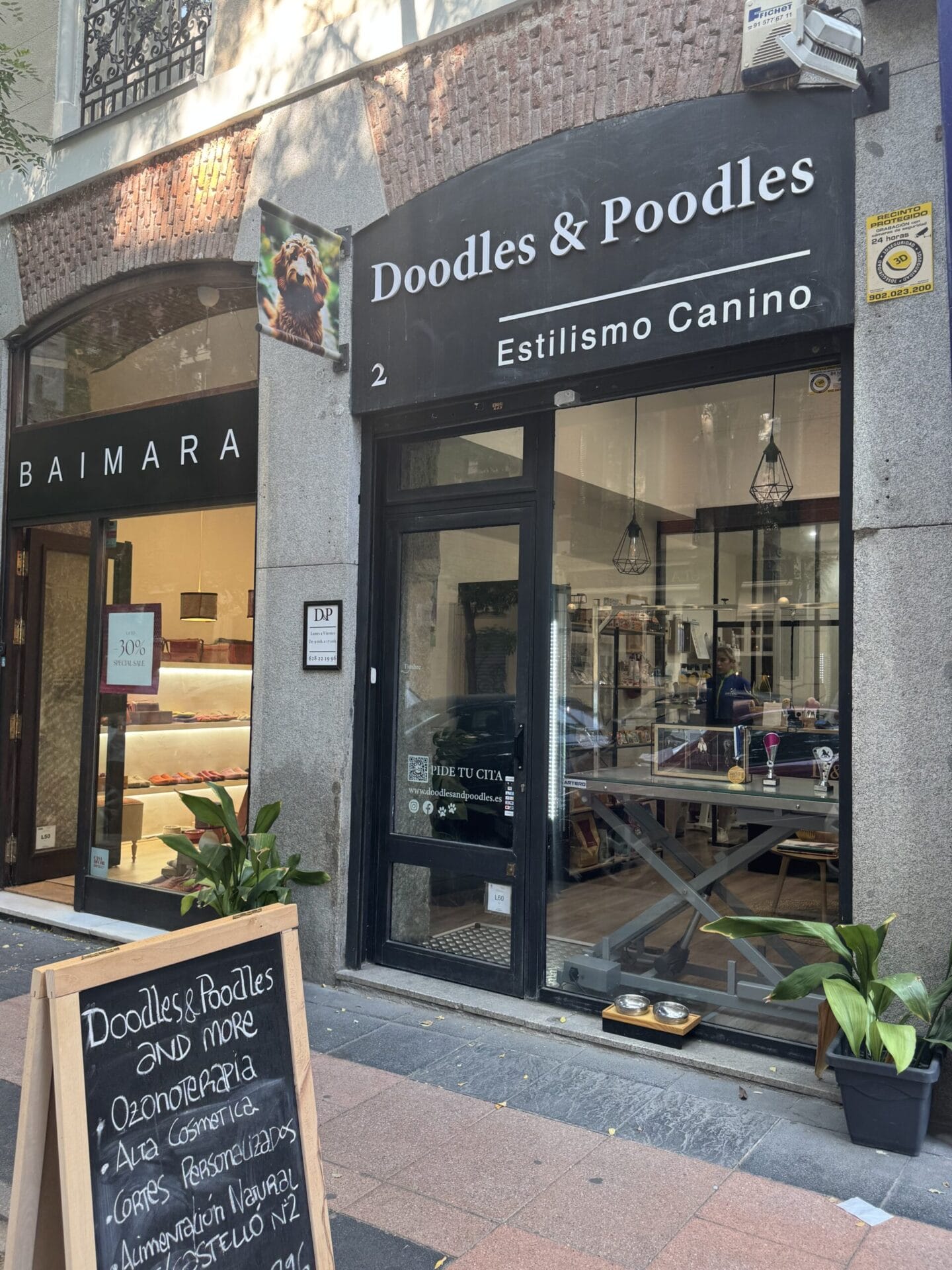 DOODLES&POODLES