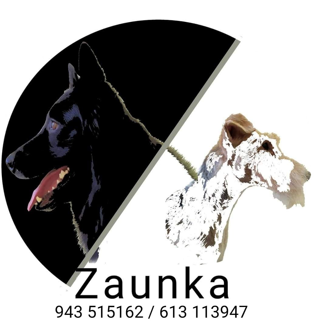 WhatsApp Image 2025-07-02 at 10.00.52