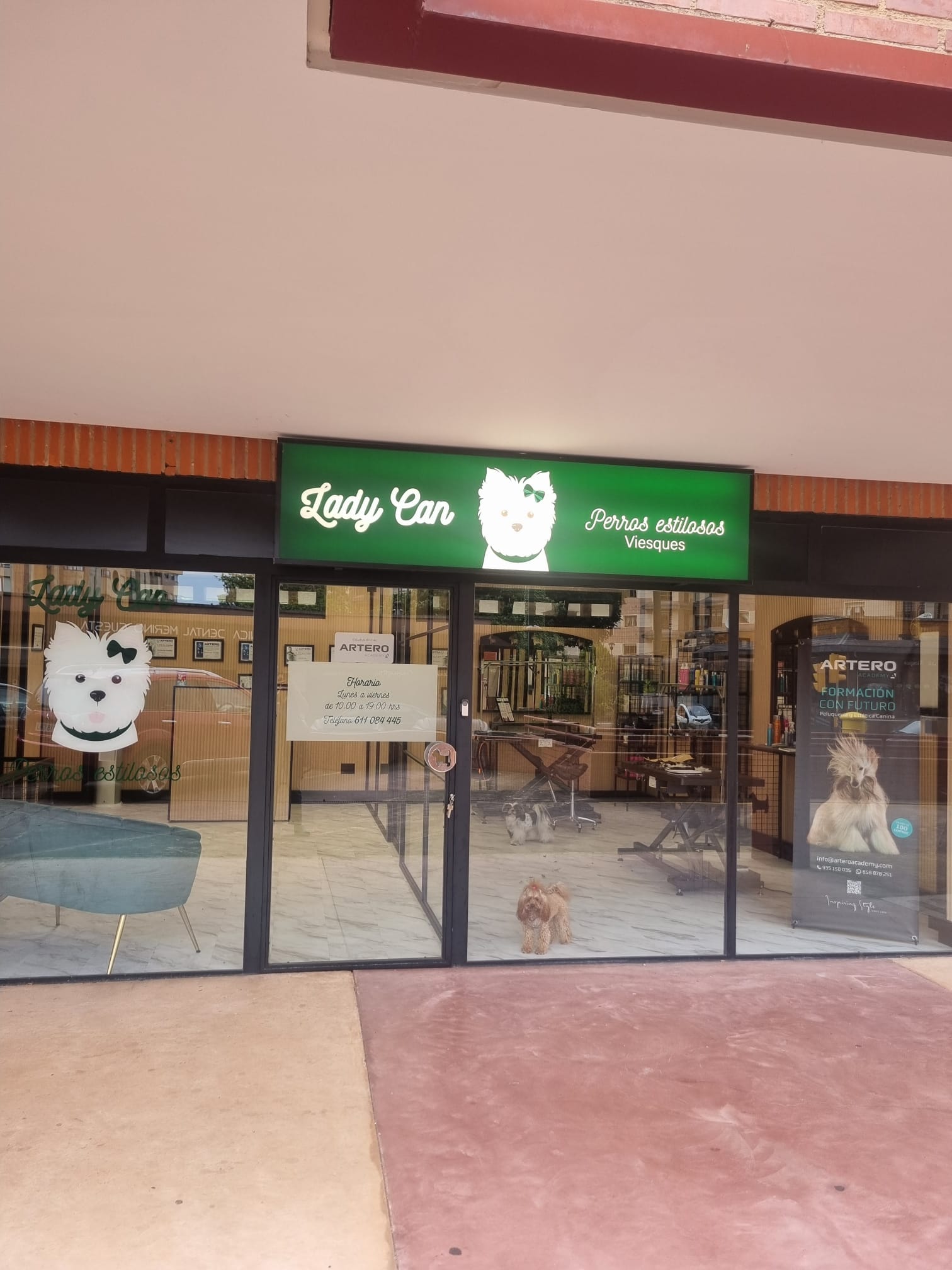 LADY CAN PERROS ESTILOSOS