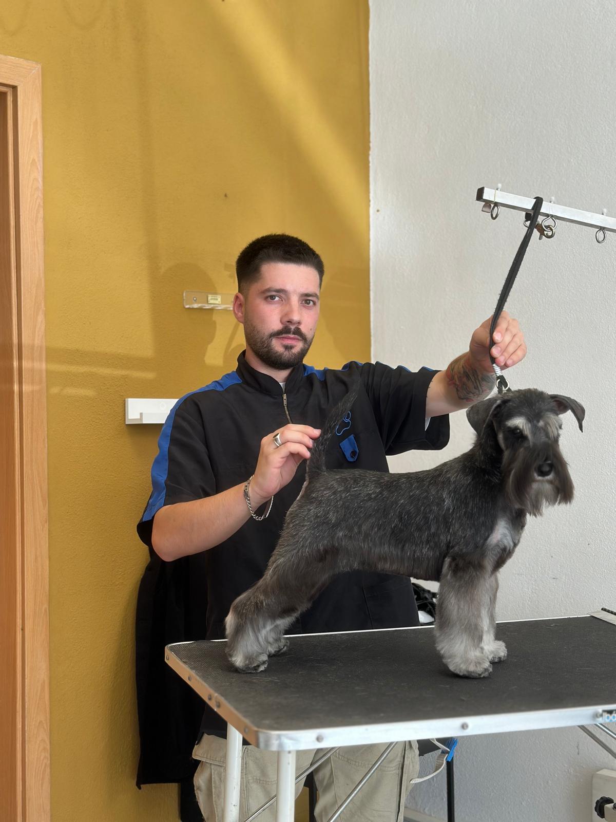 5160d89e-8942-4f50-9c2c-93c4761d01c7 - Pax Stella Grooming