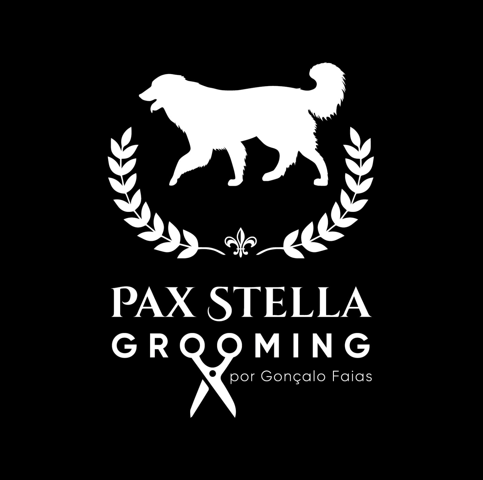 IMG_9967 - Pax Stella Grooming