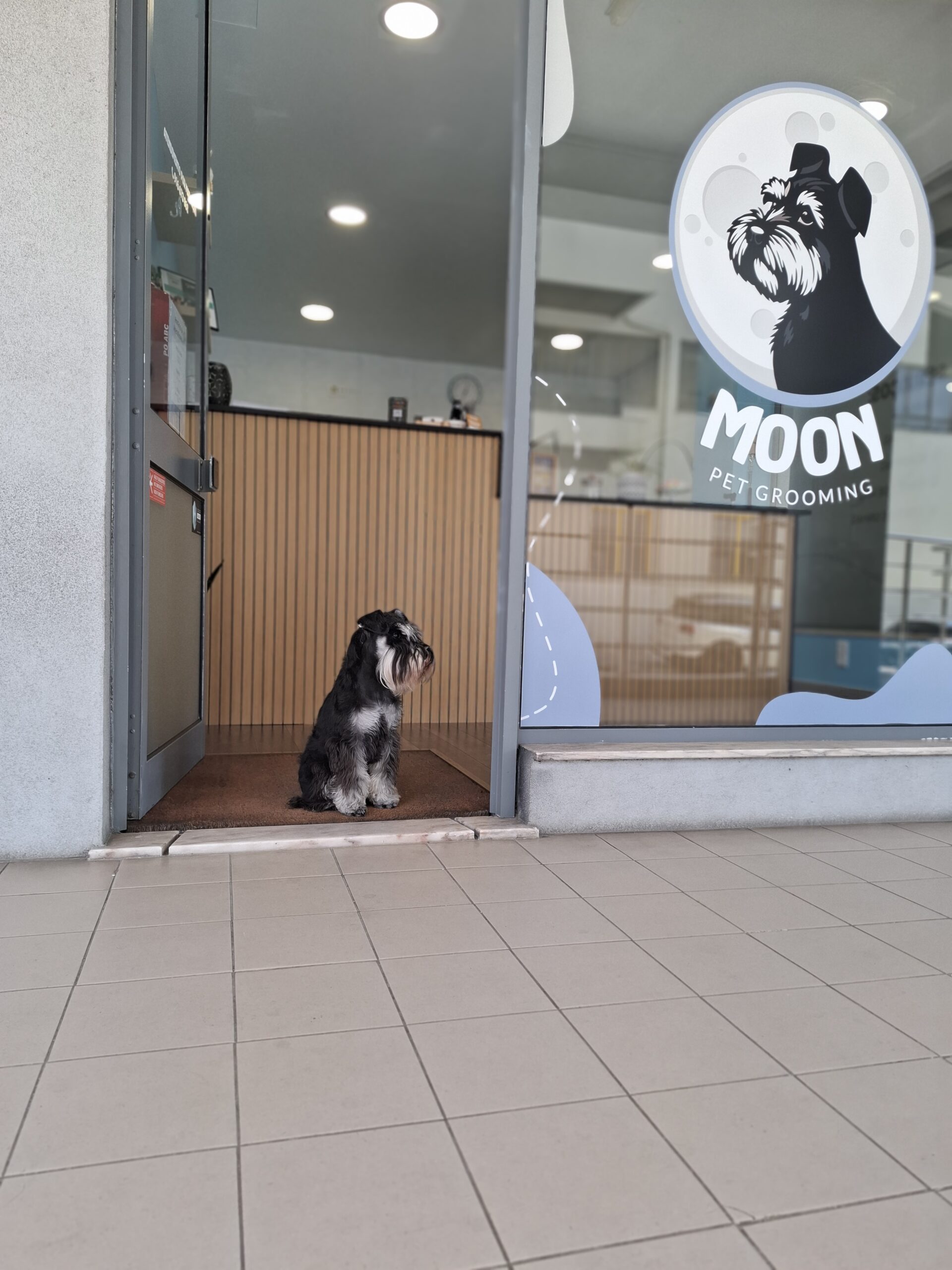 Moon Pet Grooming