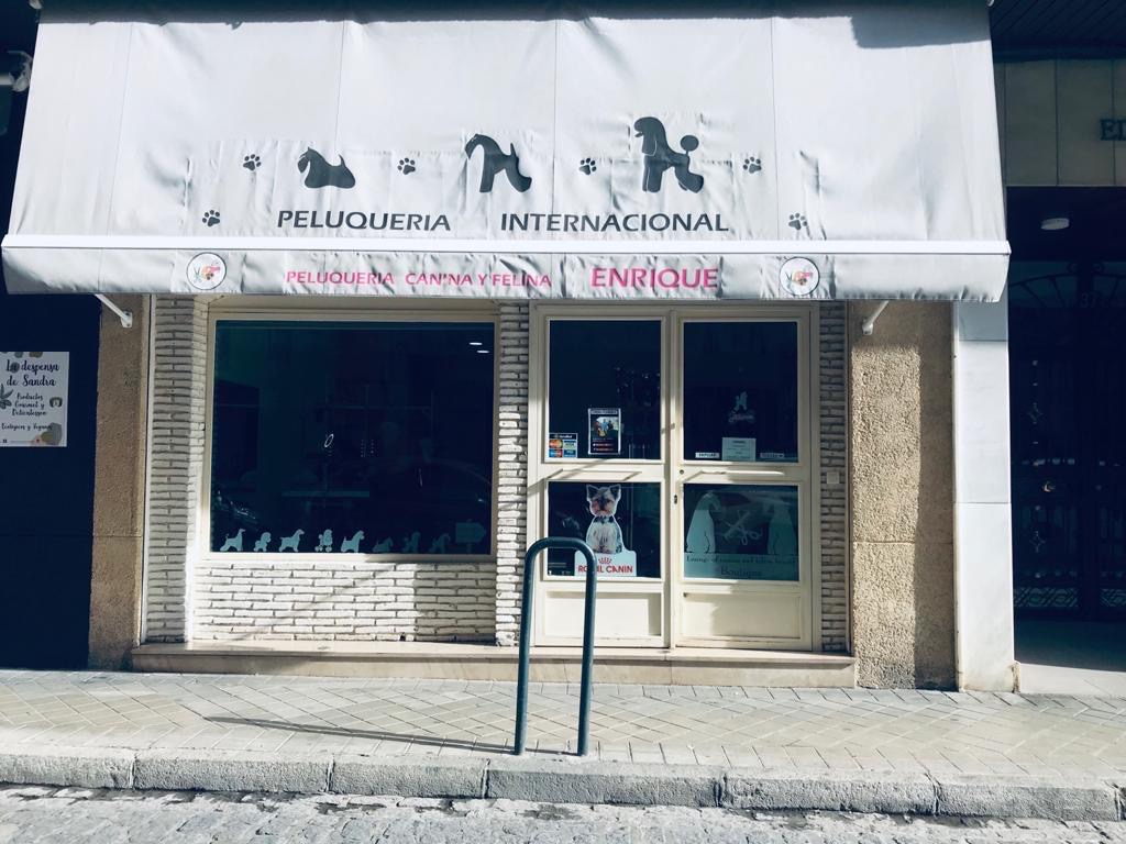 Peluquería Canina Y Felina Enrique