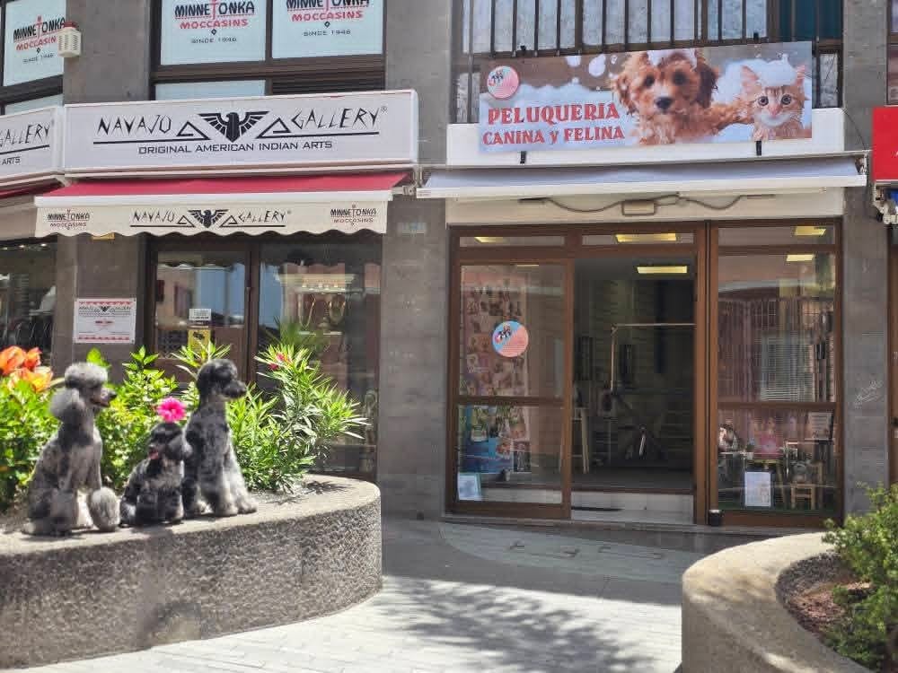 El arte del estilo canino